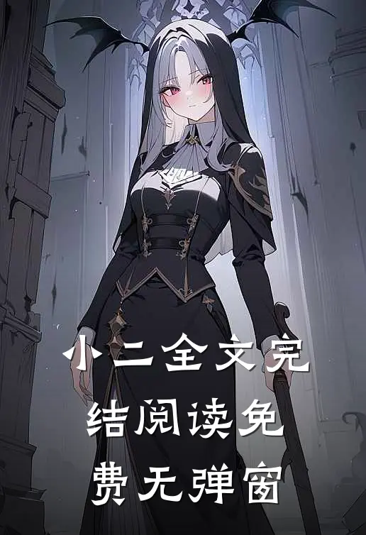 小二全文完结阅读免费无弹窗
