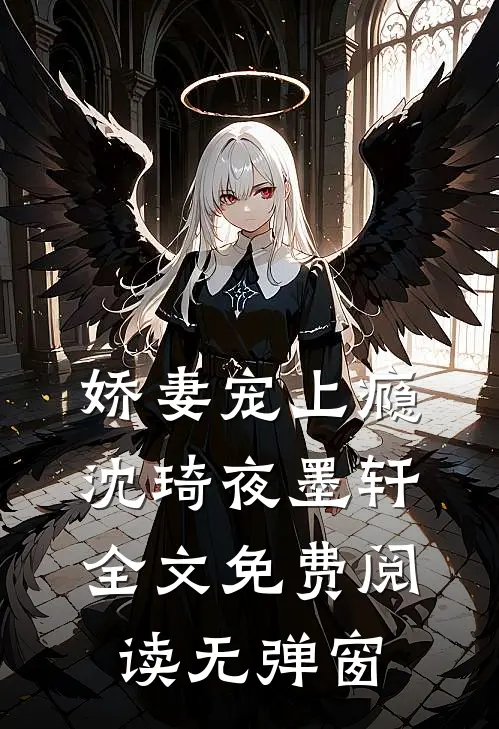 娇妻宠上瘾沈琦夜墨轩全文免费阅读无弹窗