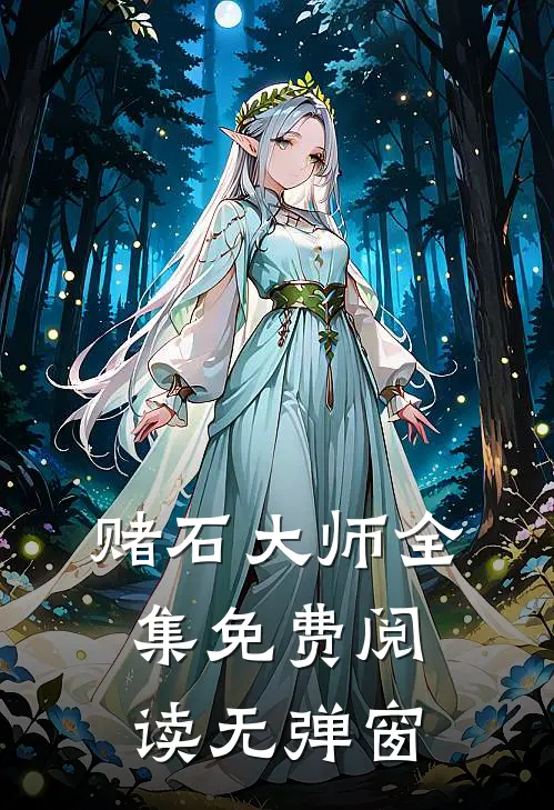 赌石大师全集免费阅读无弹窗