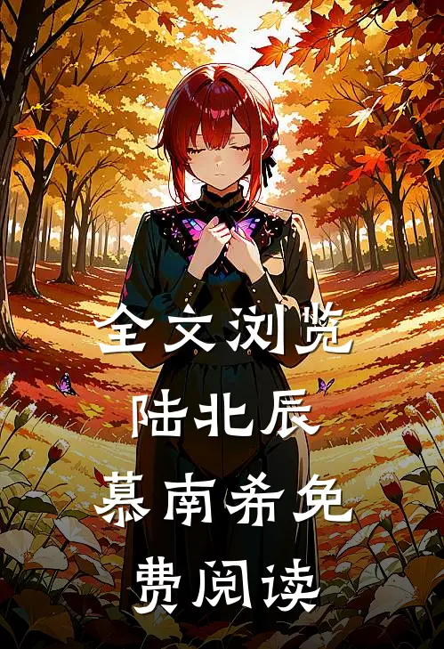全文浏览陆北辰,慕南希免费阅读