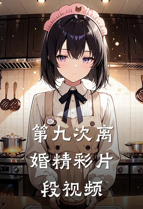 第九次离婚精彩片段视频