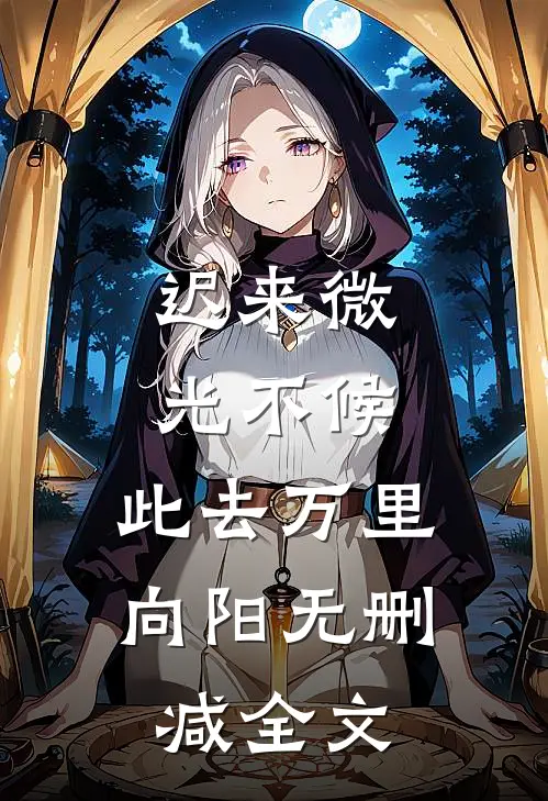 迟来微光不候，此去万里向阳无删减全文