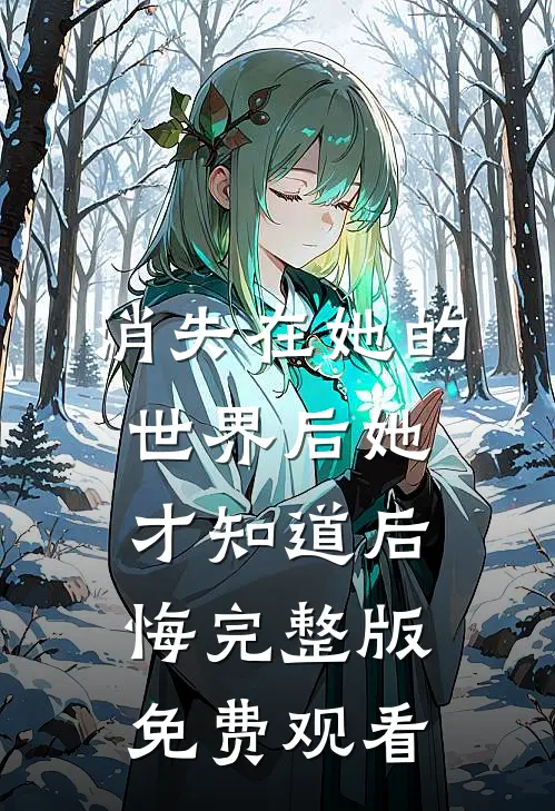 消失在她的世界后她才知道后悔完整版免费观看
