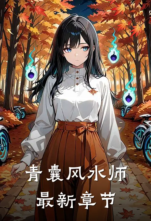 青囊风水师最新章节