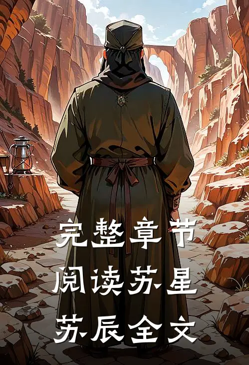 完整章节阅读苏星苏辰全文