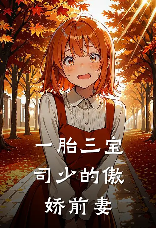 一胎三宝司少的傲娇前妻