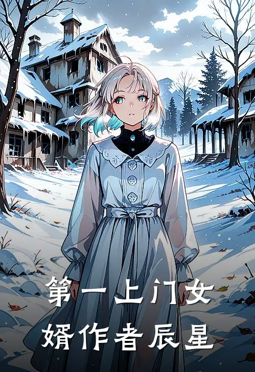 第一上门女婿作者辰星