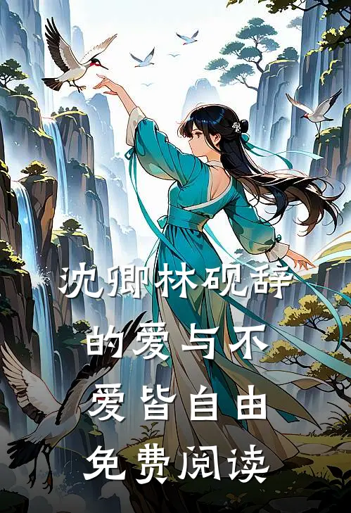 沈卿林砚辞的爱与不爱皆自由免费阅读