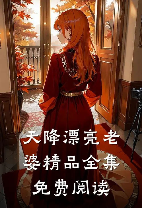 天降漂亮老婆精品全集免费阅读