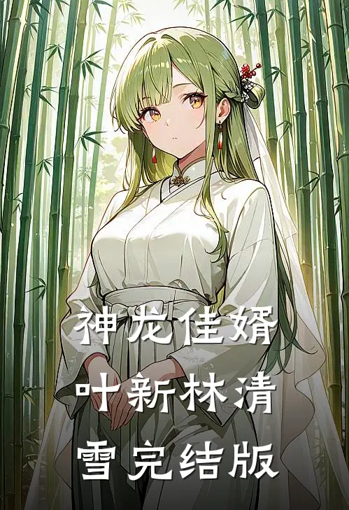 神龙佳婿叶新林清雪完结版