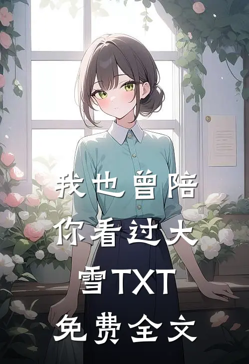 我也曾陪你看过大雪TXT免费全文