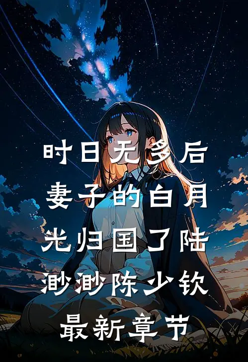 时日无多后，妻子的白月光归国了陆渺渺陈少钦最新章节