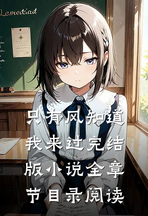 只有风知道我来过完结版小说全章节目录阅读