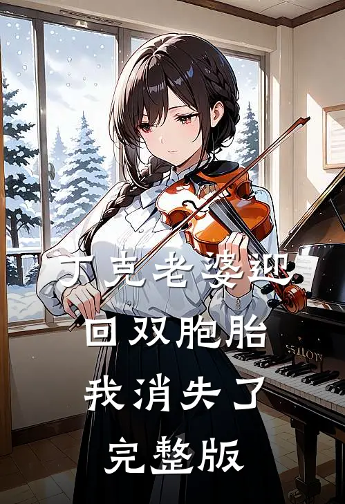丁克老婆迎回双胞胎，我消失了完整版