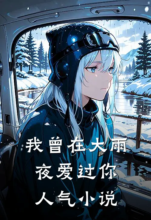 我曾在大雨夜爱过你人气小说