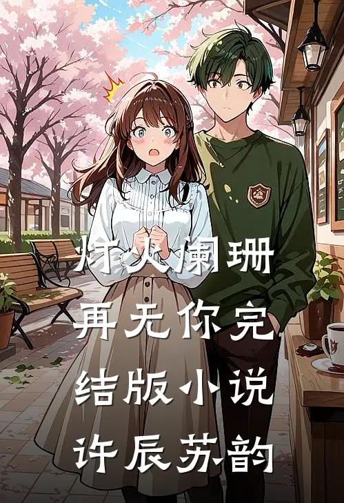 灯火阑珊再无你完结版小说许辰苏韵