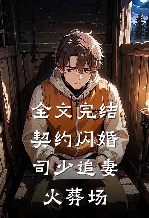 全文完结契约闪婚：司少追妻火葬场