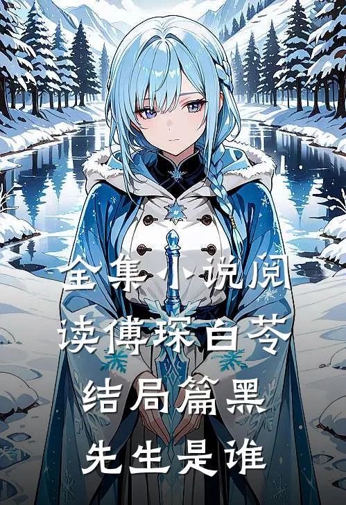 全集小说阅读傅琛白苓结局篇黑先生是谁