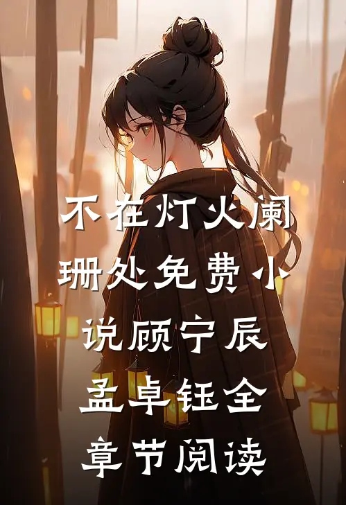 不在灯火阑珊处免费小说顾宁辰孟卓钰全章节阅读