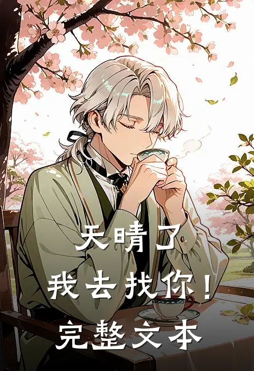 天晴了，我去找你！完整文本