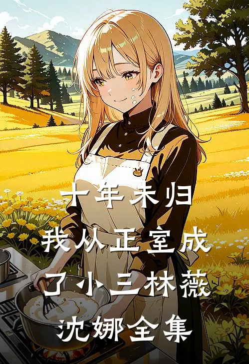 十年未归，我从正室成了小三林薇沈娜全集