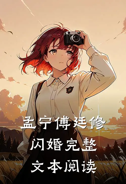 孟宁傅廷修闪婚完整文本阅读