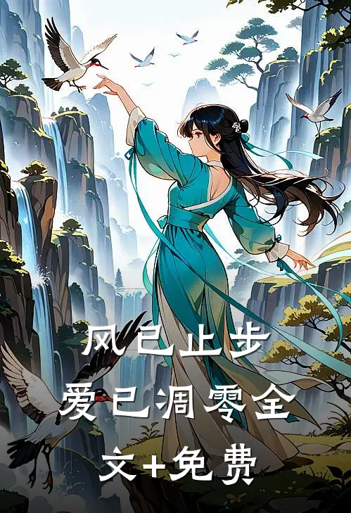 风已止步，爱已凋零全文+免费