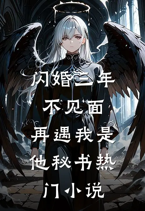 闪婚三年不见面，再遇我是他秘书热门小说