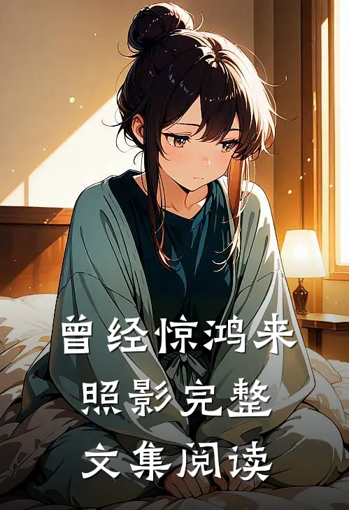 曾经惊鸿来照影完整文集阅读