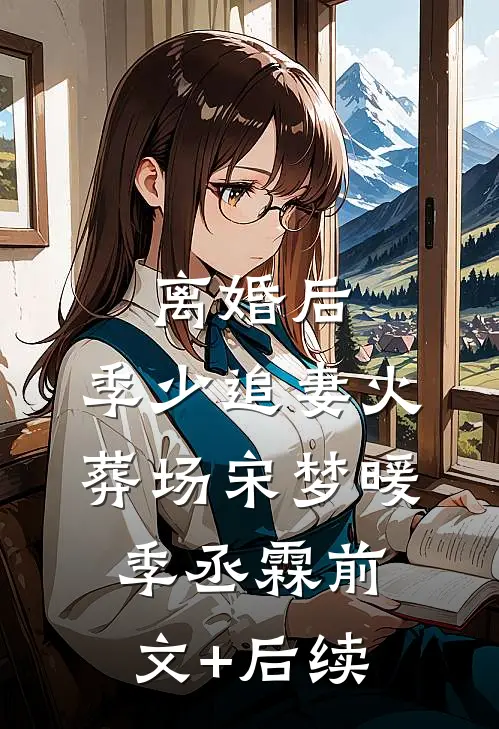 离婚后，季少追妻火葬场宋梦暖季丞霖前文+后续