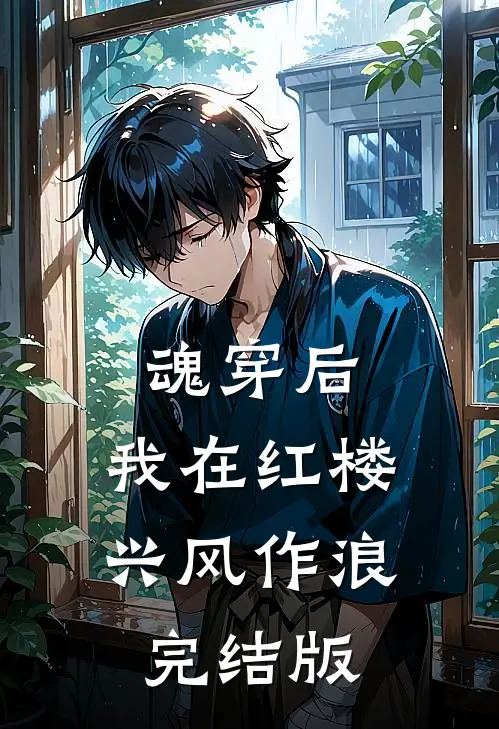 魂穿后，我在红楼兴风作浪完结版