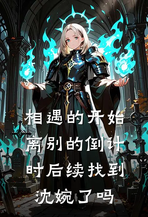 相遇的开始，离别的倒计时后续找到沈婉了吗