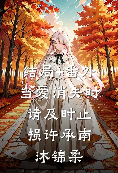 结局+番外当爱消失时，请及时止损许承南沐锦柔