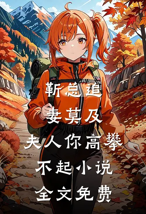 靳总追妻莫及，夫人你高攀不起小说全文免费