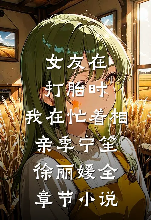 女友在打胎时，我在忙着相亲季宁笙徐丽媛全章节小说