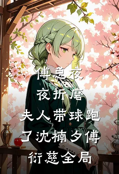 傅总夜夜折磨，夫人带球跑了沈楠夕傅衍慈全局