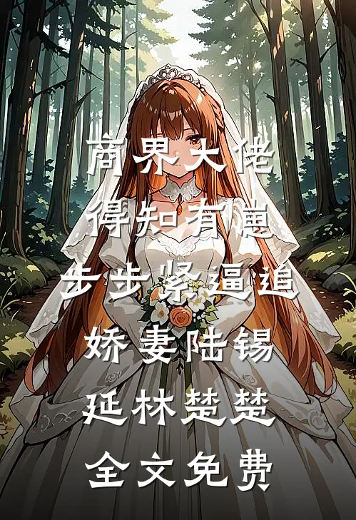 商界大佬得知有崽，步步紧逼追娇妻陆锡延林楚楚全文免费