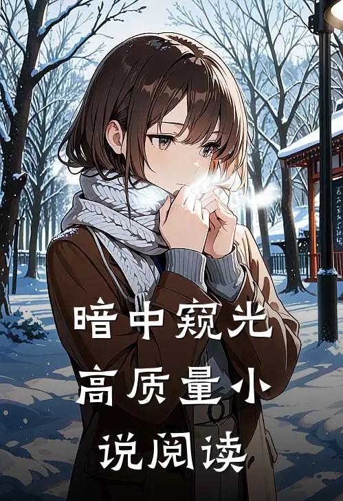 暗中窥光高质量小说阅读