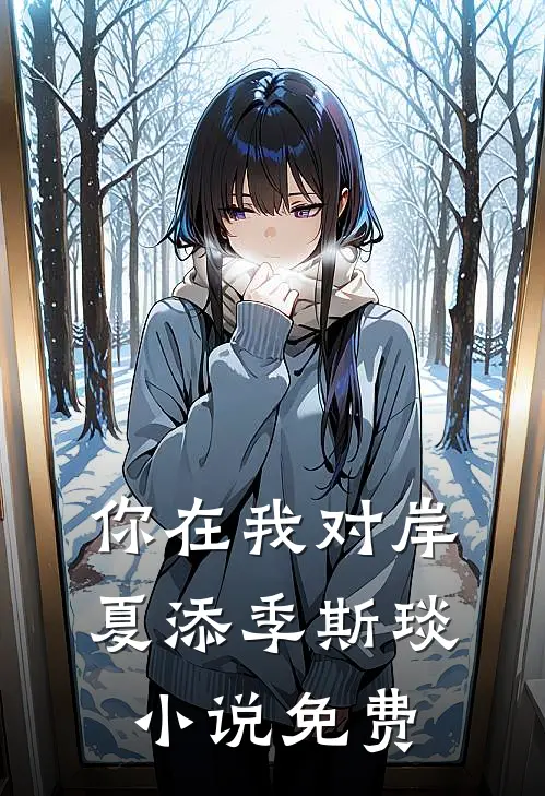 你在我对岸夏添季斯琰小说免费