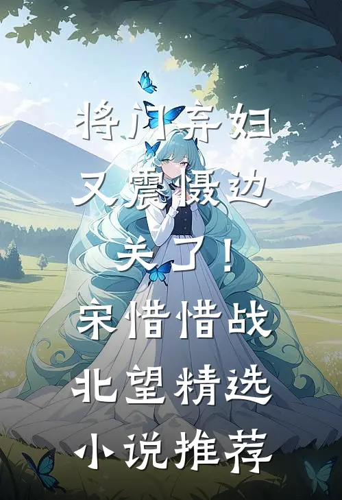 将门弃妇又震慑边关了！宋惜惜战北望精选小说推荐