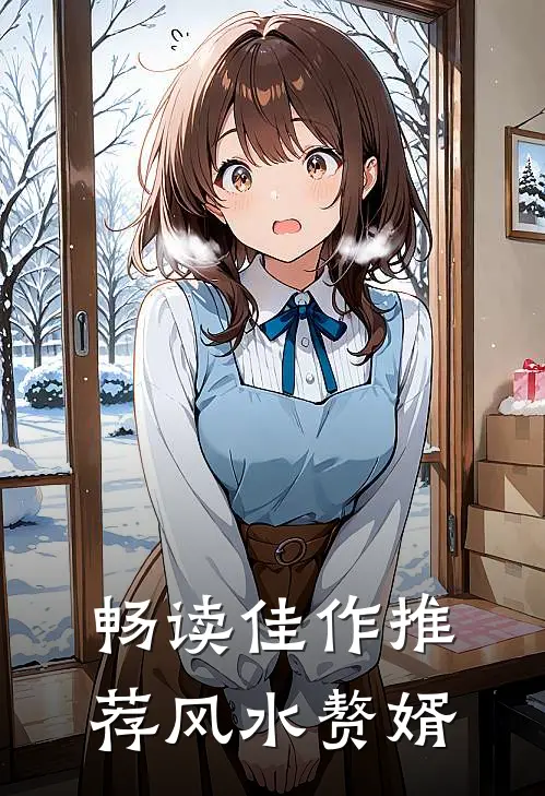 畅读佳作推荐风水赘婿
