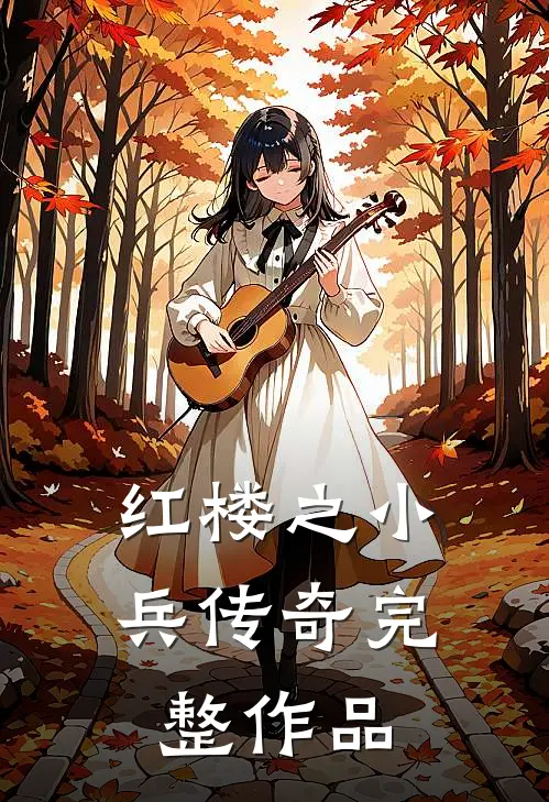 红楼之小兵传奇完整作品