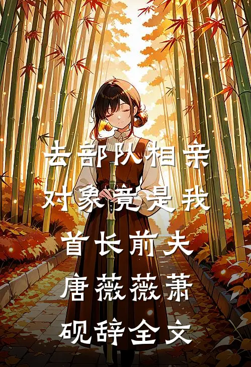 去部队相亲，对象竟是我首长前夫唐薇薇萧砚辞全文