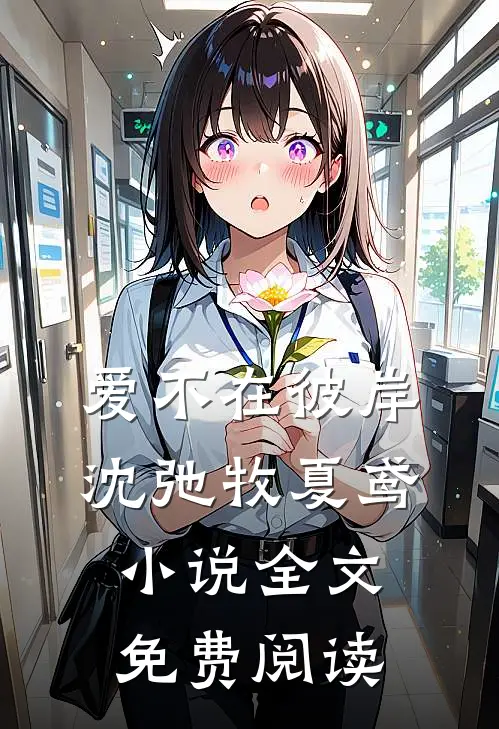 爱不在彼岸沈弛牧夏鸢小说全文免费阅读