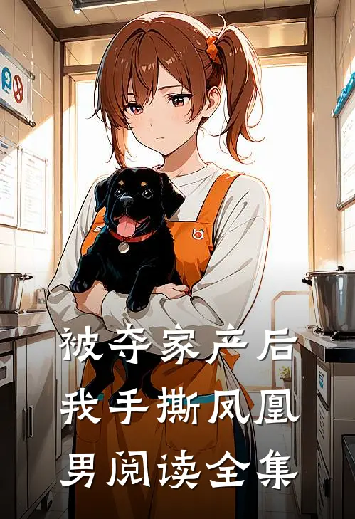 被夺家产后，我手撕凤凰男阅读全集
