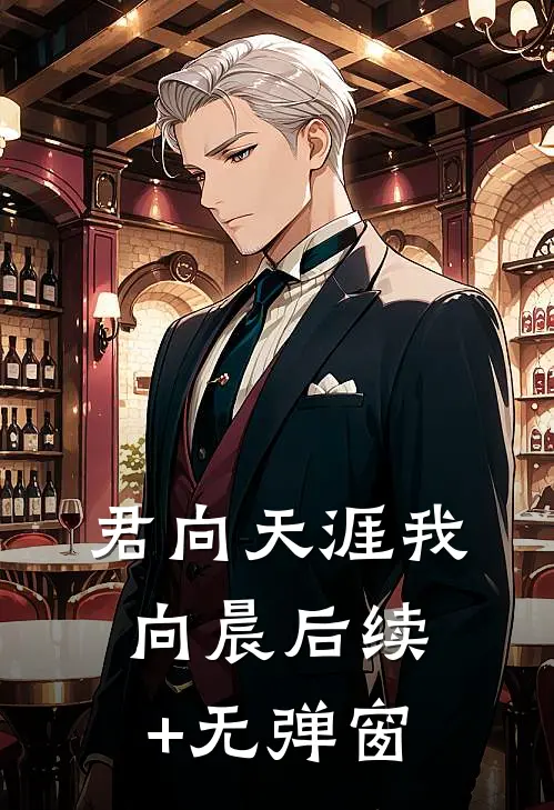 君向天涯我向晨后续+无弹窗