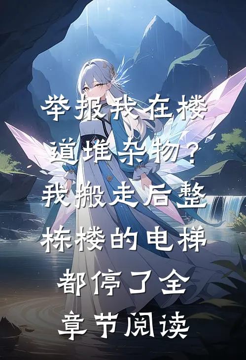 举报我在楼道堆杂物？我搬走后，整栋楼的电梯都停了全章节阅读