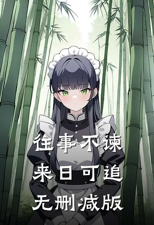 往事不谏，来日可追无删减版