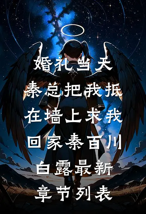 婚礼当天，秦总把我抵在墙上求我回家秦百川白露最新章节列表