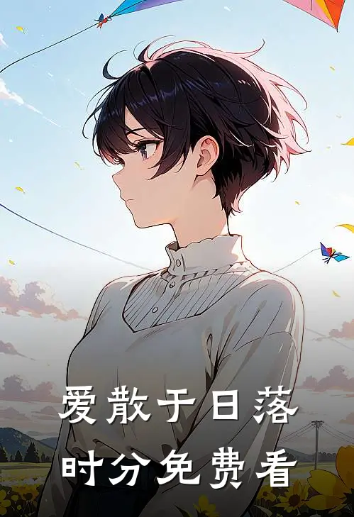 爱散于日落时分免费看